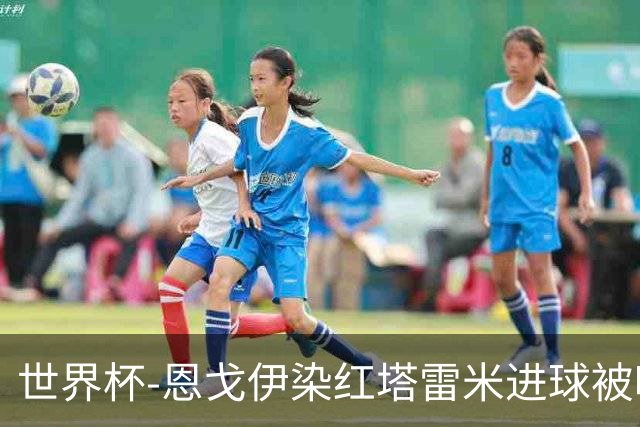 世界杯-恩戈伊染红塔雷米进球被吹 10人比利时0-0伊朗