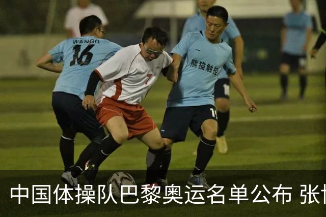中国体操队巴黎奥运名单公布 张博恒将演奥运首秀