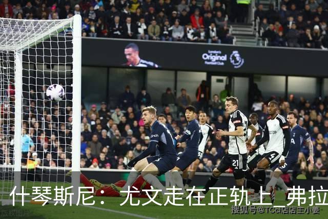 什琴斯尼：尤文走在正轨上 弗拉霍维奇非常出色