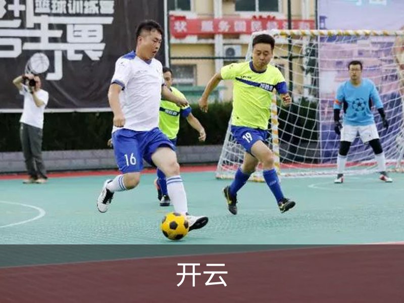 开云简介