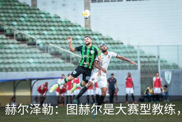 赫尔泽勒：图赫尔是大赛型教练，他为英格兰队带回了团结精神